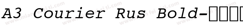 A3 Courier Rus Bold字体转换